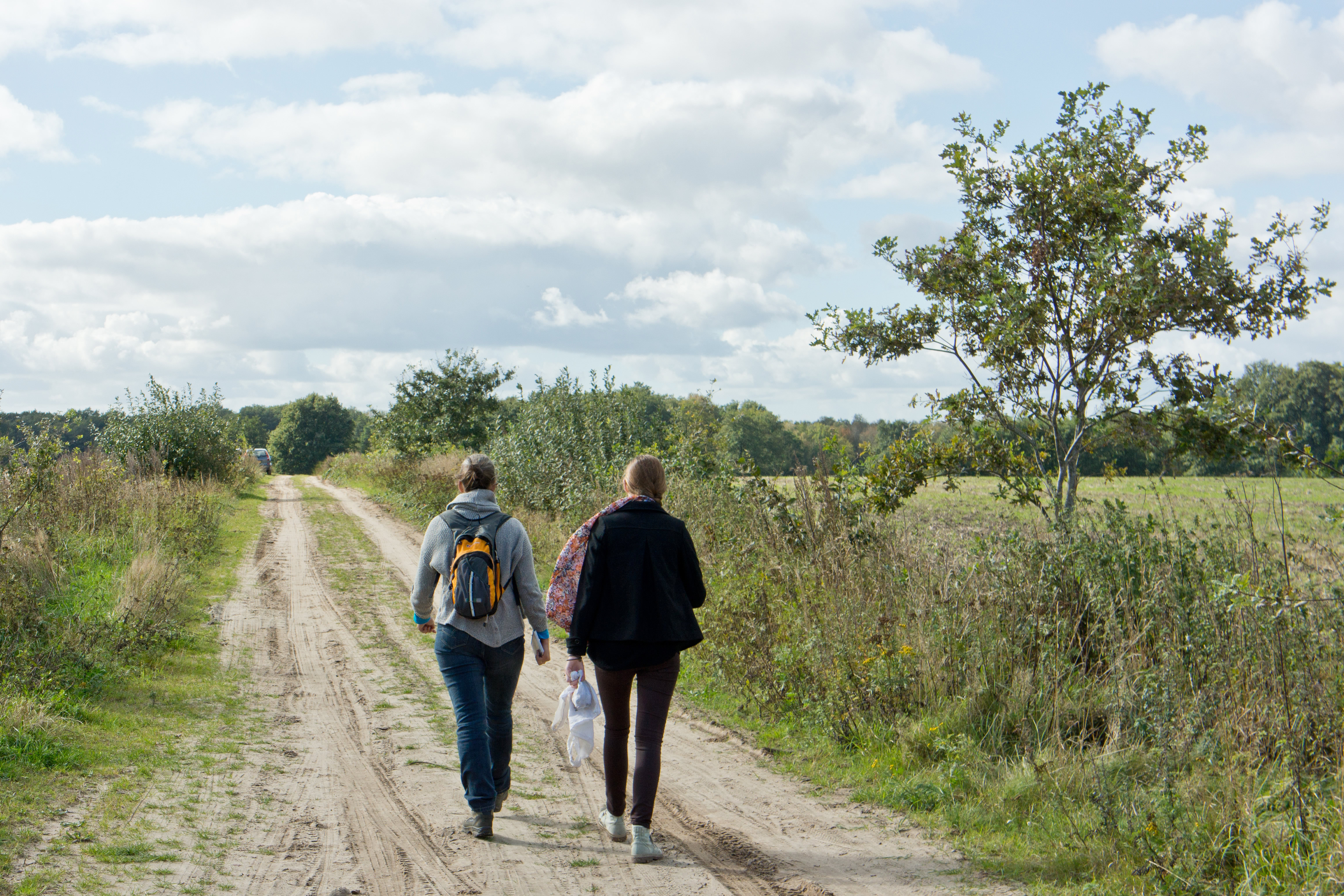 Wandelende mensen op wandelpad 